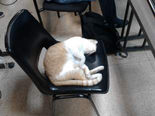 Foto de donbran