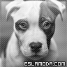 Foto de ELI_LA_LOKA