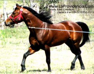 Foto de albeiro 500