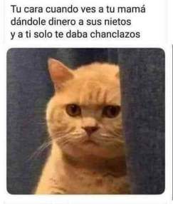 Foto de ALvaro A.
