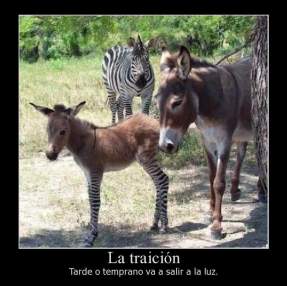 Foto de sielito