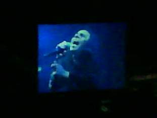 Foto de boktorgarcia