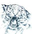 Foto de tigre