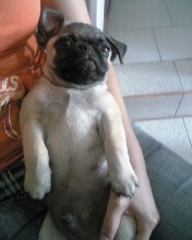 Foto de Maky10