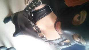 Foto de dickinsons