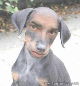 Foto de miguelrompedor