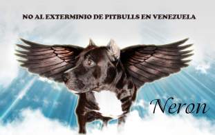 Foto de juanchoelon