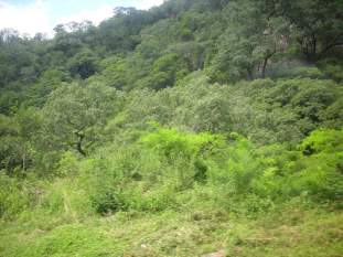 Foto de lucasarg2011