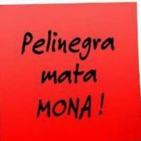 Foto de ALEGANDRO