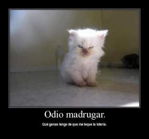 Foto de ELPICHI33