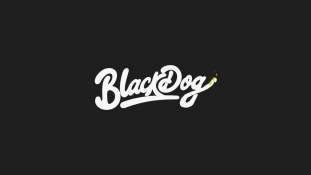 Foto de BLACK DOG