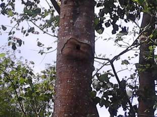 Foto de ingvenezuela