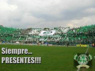 Foto de pi�a