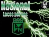 Foto de verde_11