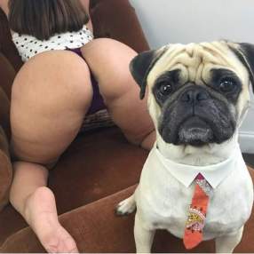 Foto de stiv66