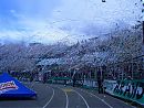 Foto de elaleman