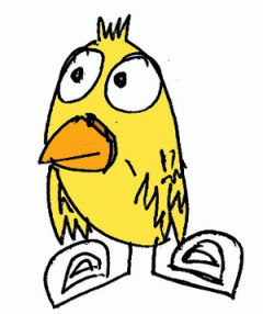 Foto de bird.man