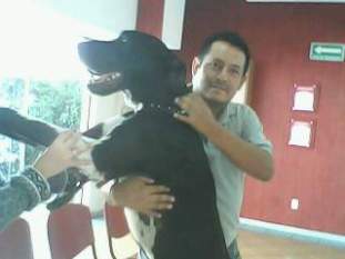 Foto de vivaabro123