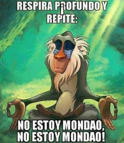 Foto de moren24
