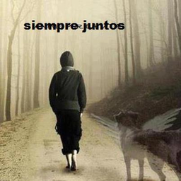 Foto de kinjojo