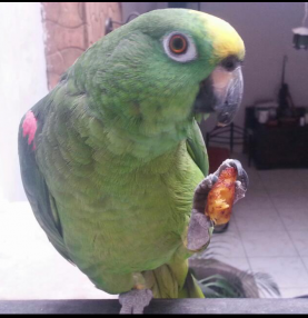 Foto de juanchojg