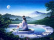 Foto de venus