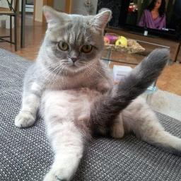 Foto de GetBoned