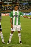 Foto de garu verde