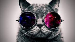 Foto de Pipisin507
