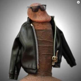 Foto de ratoncitoo