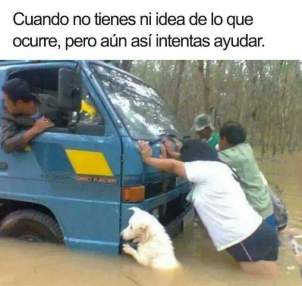 Foto de Suanca