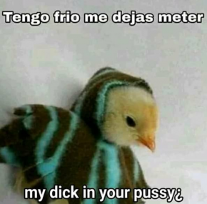 Foto de lordxs