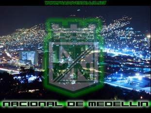 Foto de solo verde
