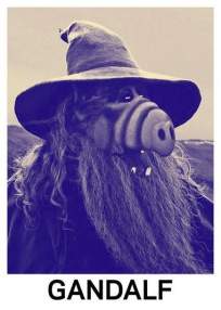 Foto de Gandalfex