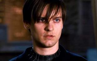 Foto de araña22