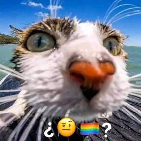 Foto de Investigador K