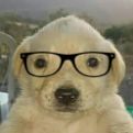 Foto de Rauww