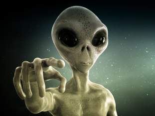 Foto de peteralien