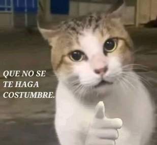 Foto de Ferranlewis