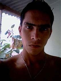 Foto de robincito