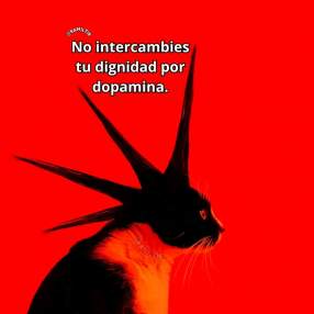 Foto de Enrique Lom