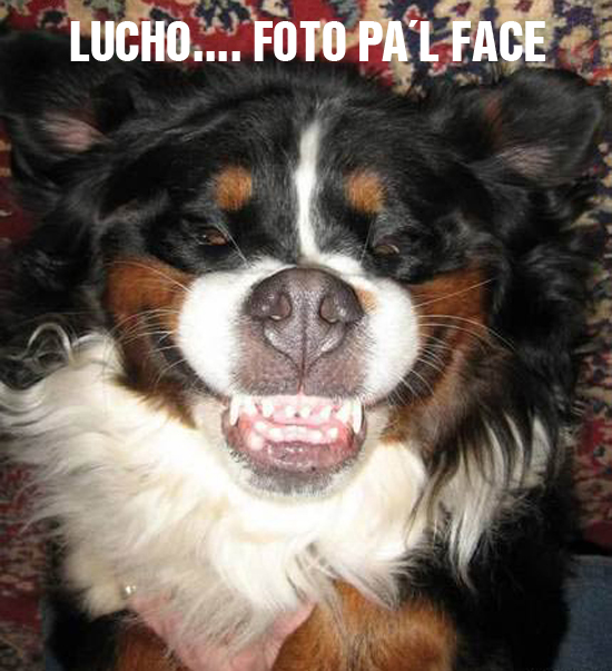 foto face lucho
