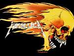 Metallica Skull and Flames