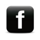 mini facebook logo